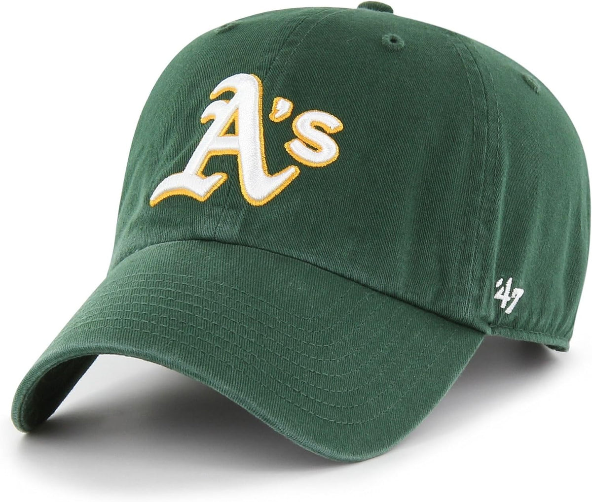 47 Unisex Adult Reinigung: