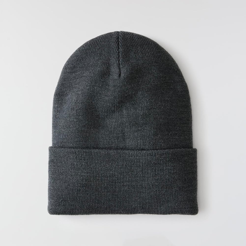Carhartt Men's Knit Cuffed Beanie 104597