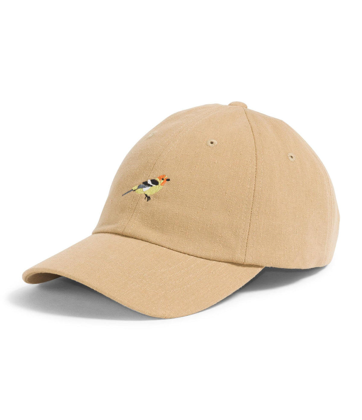 The North Face Norm Baseball Hat | Shallow Fit Ball Cap with Embroidered Logo, Adjustable Strap Closure & Silver Buckle