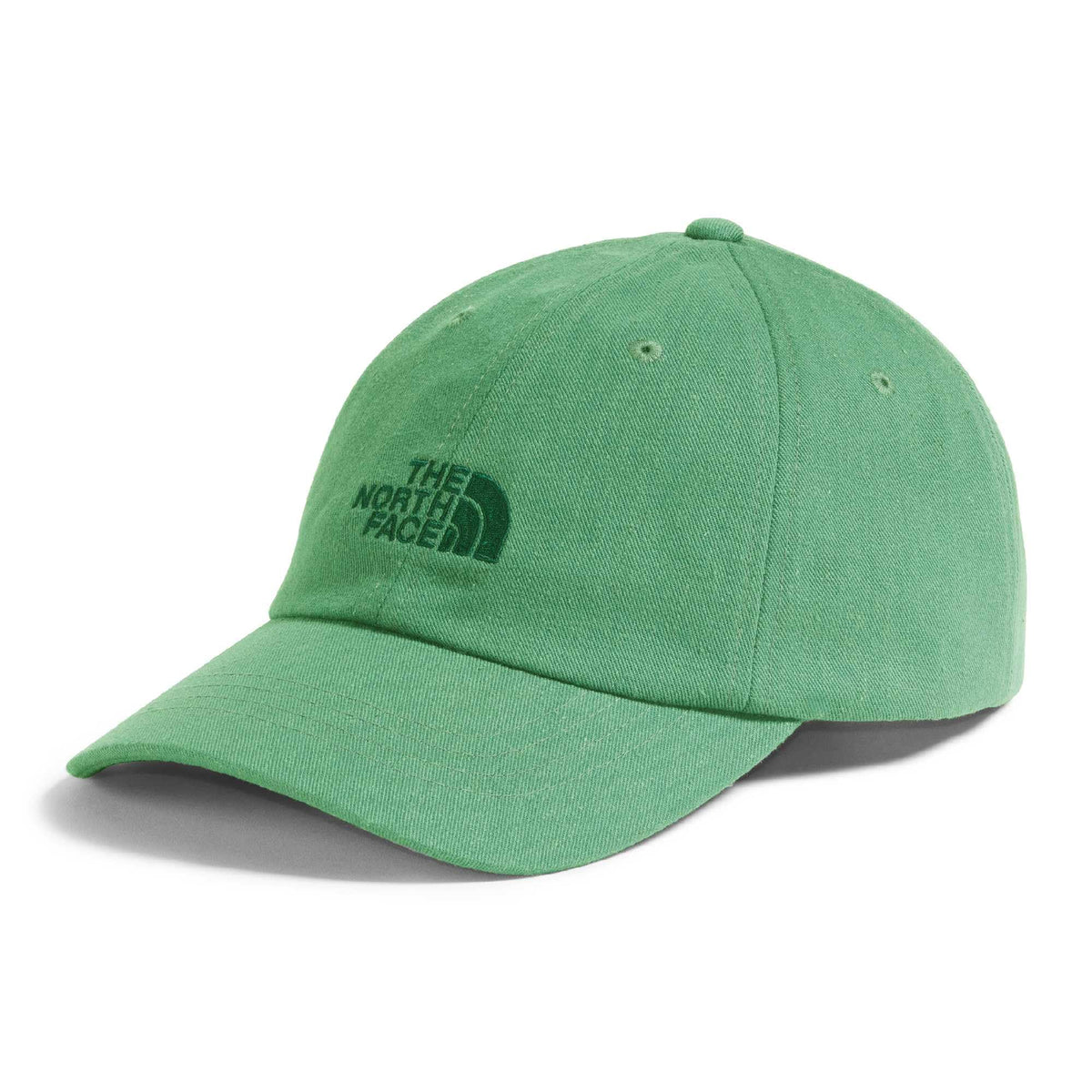 The North Face Norm Baseball Hat | Shallow Fit Ball Cap with Embroidered Logo, Adjustable Strap Closure & Silver Buckle