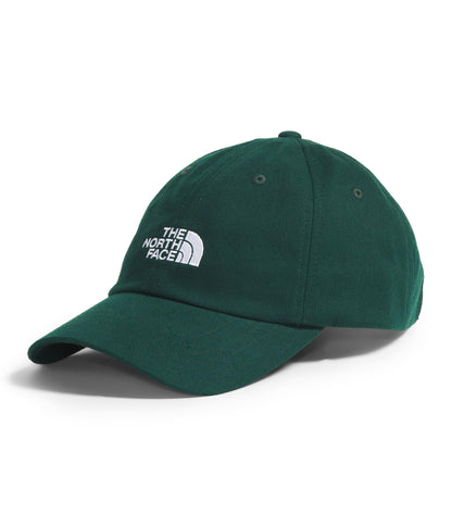 The North Face Norm Baseball Hat | Shallow Fit Ball Cap with Embroidered Logo, Adjustable Strap Closure & Silver Buckle